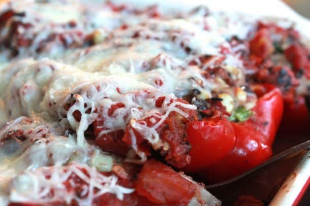 Southwestern Turkey Stuffed Peppers 特写镜头射击了俗气西南土耳其被酿的胡椒