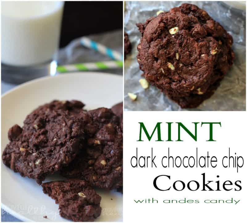 Mint Dark Chocolate Chip Cookies #cookierecipes #mint #darkchocolate #christmas #holiday #andescandy 薄荷黑巧克力曲奇#曲奇配方#薄荷#黑巧克力#圣诞节#节日#糖果