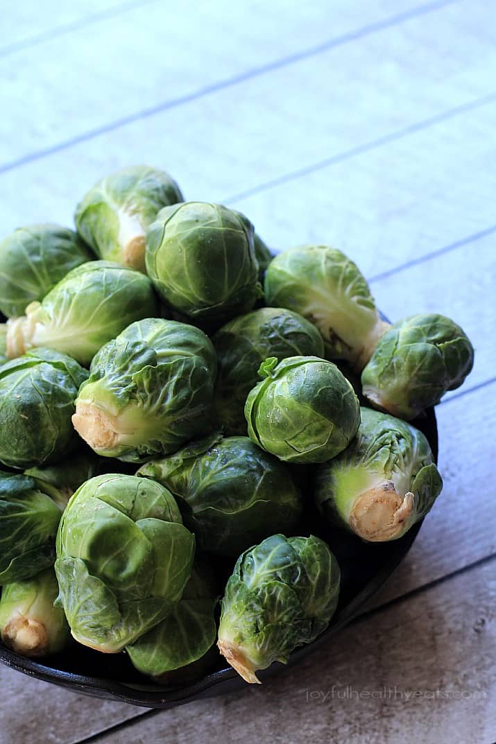 An easy & fancy Caramelized Brussels Sprouts Pancetta Pasta with Creamy Goat Cheese Sauce | m.albarakaa.com 一碗球芽甘蓝