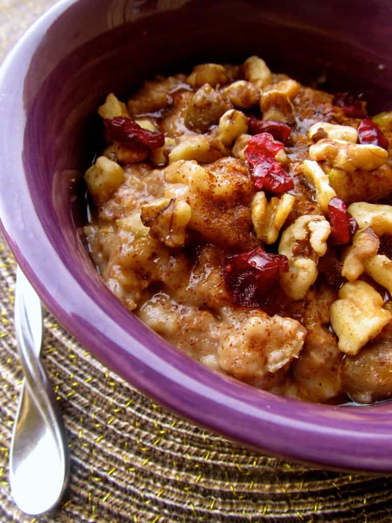 25 Healthy Crock Pot Recipes 紫碗慢炖一夜肉桂苹果燕麦片