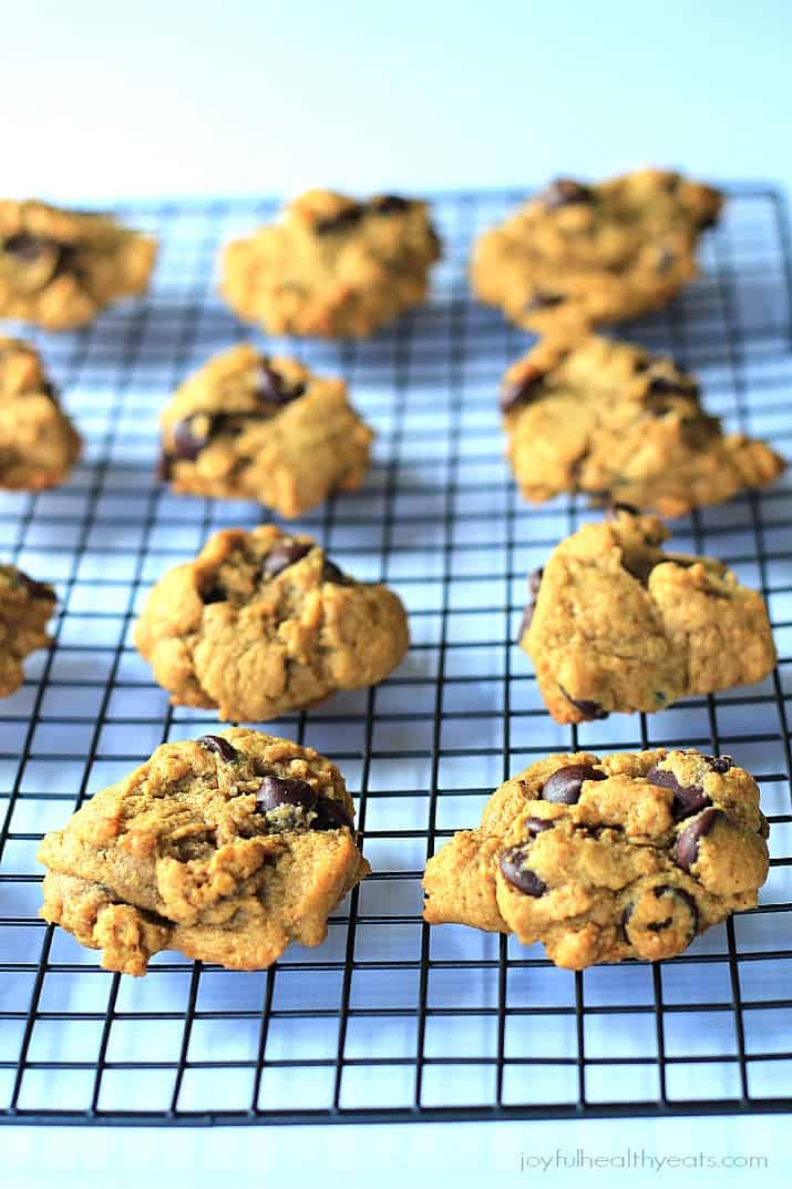 {Skinny} Pumpkin Chocolate Chip Cookies, made with coconut oil... super moist! | m.albarakaa.com #fall #pumpkin #dessert 南瓜巧克力曲奇,用椰子油做的…超级滋润!| m.albarakaa.com #秋天#南瓜#甜点