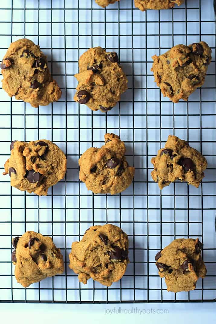 {Skinny} Pumpkin Chocolate Chip Cookies, made with coconut oil... super moist! | m.albarakaa.com #fall #pumpkin #dessert 南瓜巧克力曲奇,用椰子油做的…超级滋润!| m.albarakaa.com #秋天#南瓜#甜点