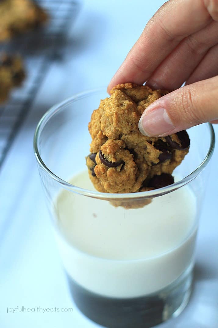 {Skinny} Pumpkin Chocolate Chip Cookies, made with coconut oil... super moist! | m.albarakaa.com #fall #pumpkin #dessert 南瓜巧克力曲奇,用椰子油做的…超级滋润!| m.albarakaa.com #秋天#南瓜#甜点