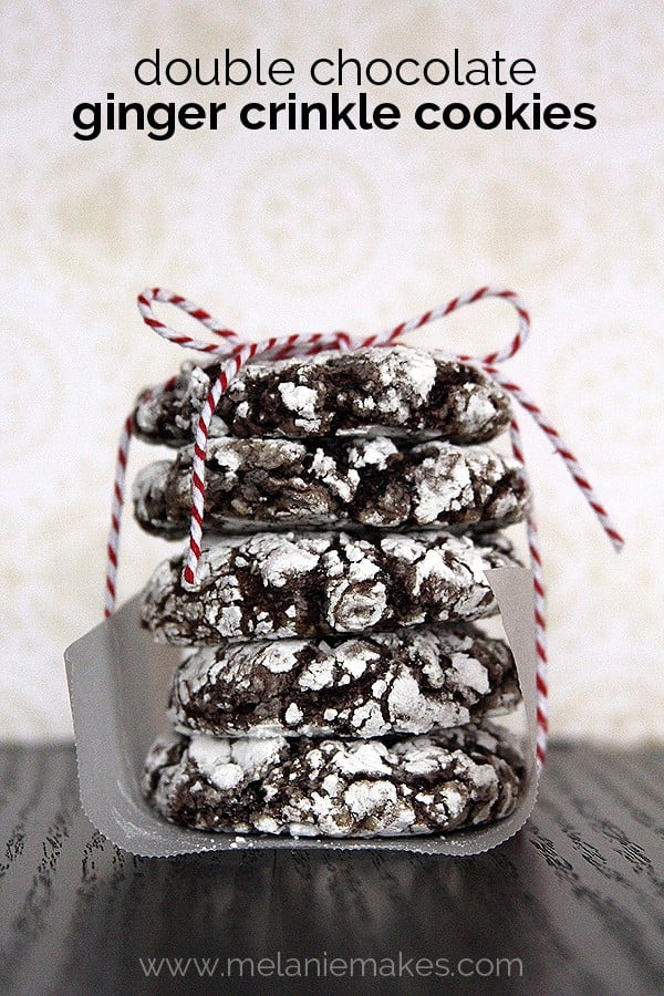 35 Must Have Christmas Cookie Recipes 羊皮纸包裹的双层巧克力姜饼