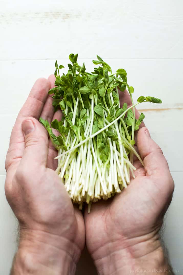 少数新鲜的新芽