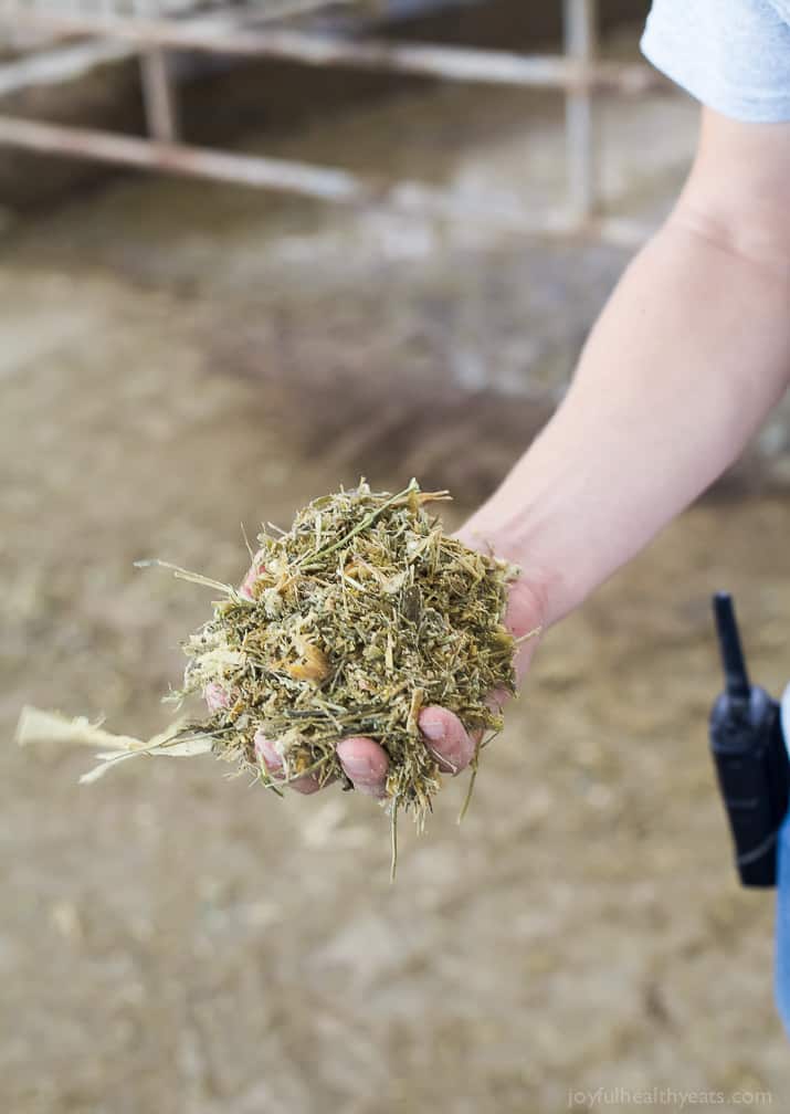少数干草
