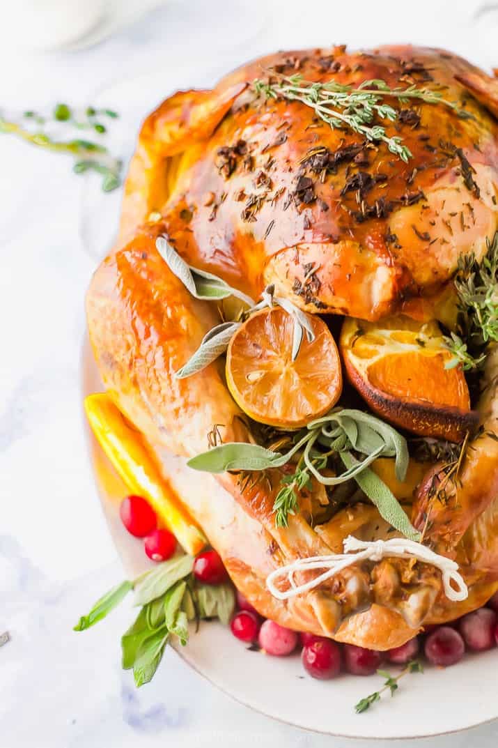 The Best Thanksgiving Turkey Recipe without Brining Close-up Image of The Best Thanksgiving Turkey