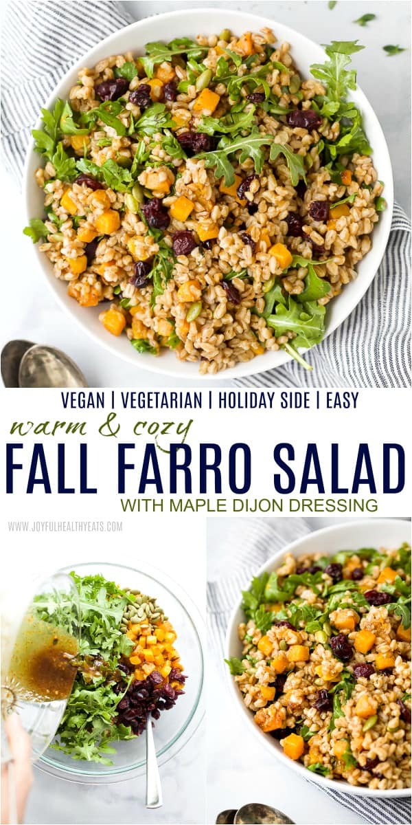 秋天farro沙拉食谱的Pinterest图象