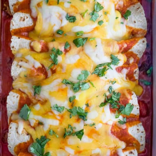 顶部关闭图片 极地牛肉Enchiladare