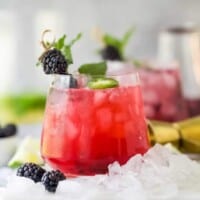 cropped-Spicy-Blackberry-Margarita-Recipe-web-3.jpg